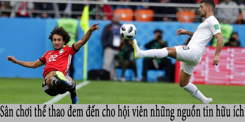 Sân chơi thể thao đem đến cho hội viên những nguồn tin hữu ích